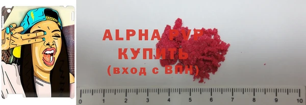 дмт Верея