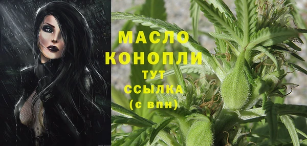 дмт Верея
