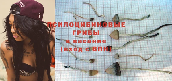 дмт Верея